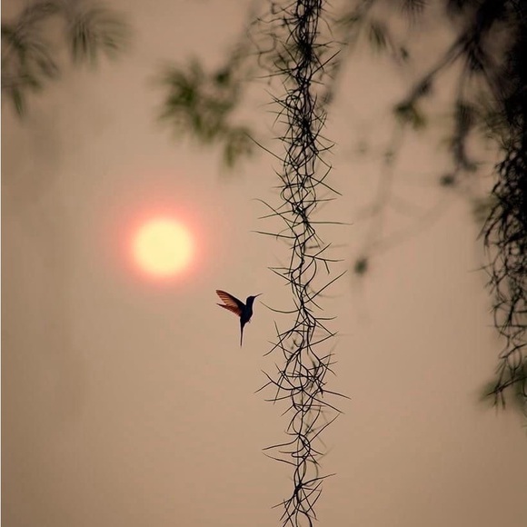 Mood - Picture 2 of 3